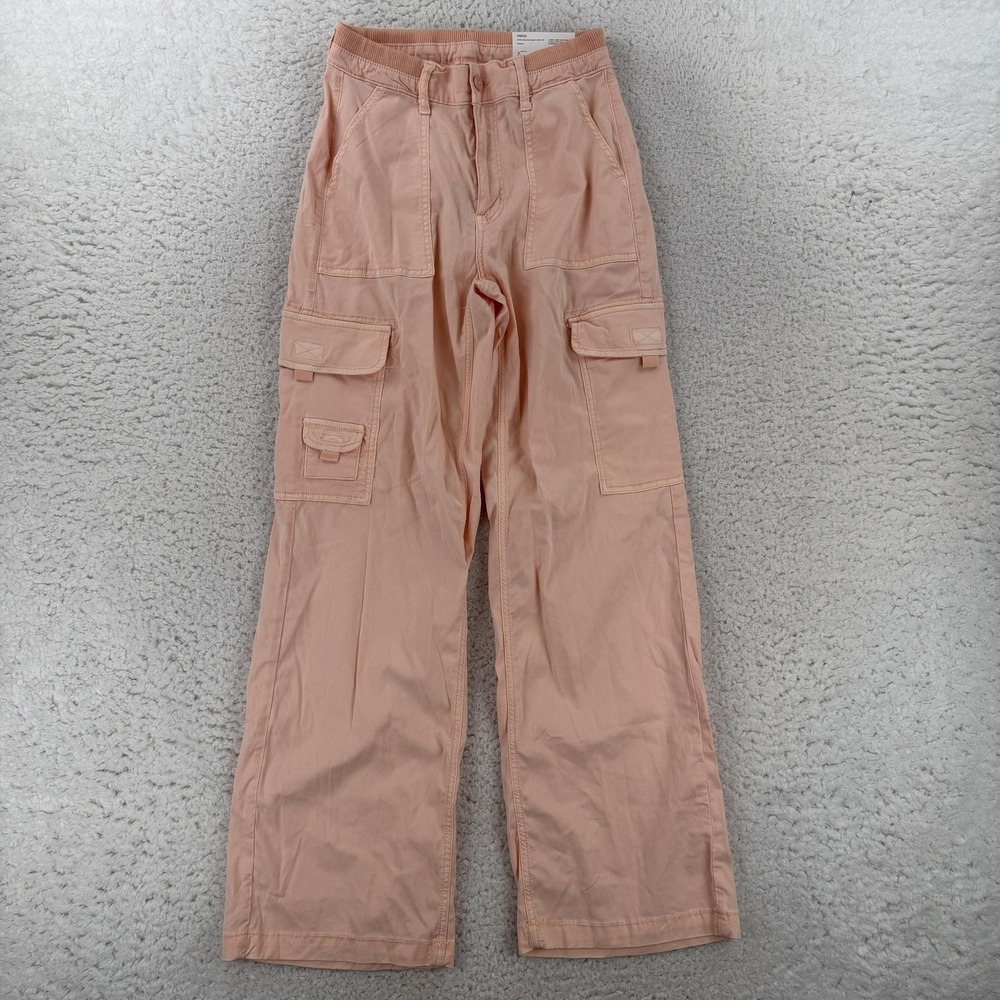 American Eagle Cargo Pants Womens 2 Pink High Rise Baggy Wide Leg Stretch Y2K